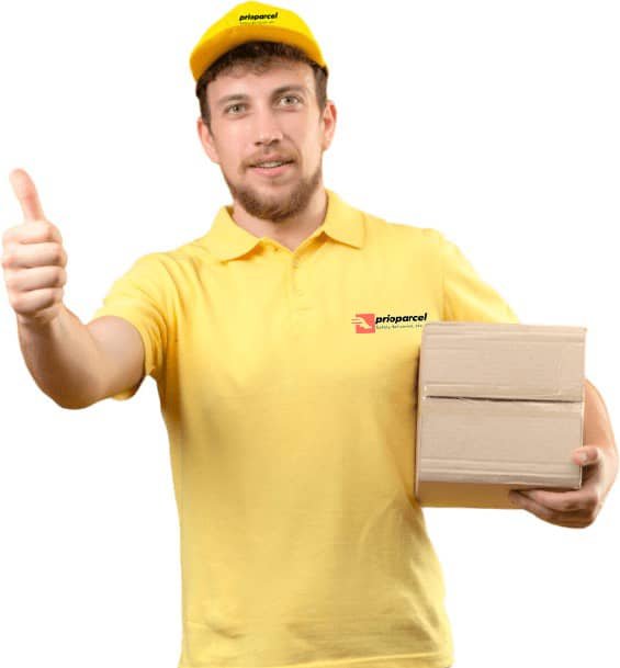 fedexpulse
